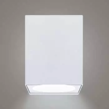 Накладной светильник RITTER Arton 51409 1