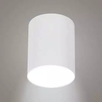 Накладной светильник RITTER