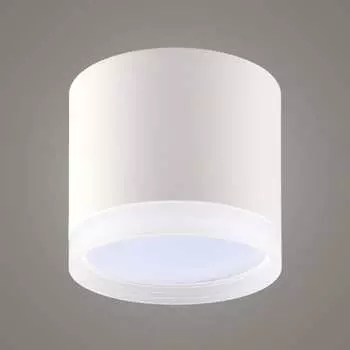 Накладной светильник RITTER