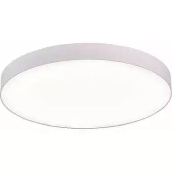 Накладной светильник ST luce ST606.542.96