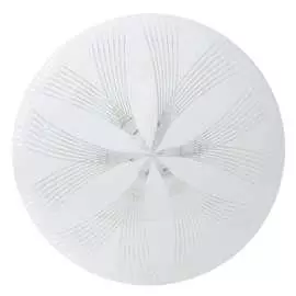 Накладной светодиодный потолочный светильник FERON