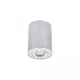 Накладной точечный светильник KANLUX BORD DLP-50-AL 22550