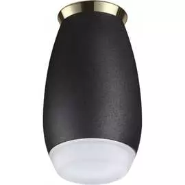 Накладной влагозащищенный светильник Novotech GENT 370911