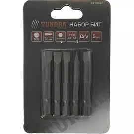 Намагниченные биты TUNDRA