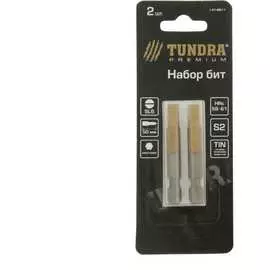 Намагниченные биты TUNDRA