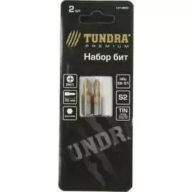 Намагниченные биты TUNDRA