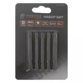 Намагниченные биты TUNDRA