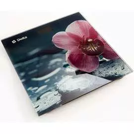 Напольные электронные весы Delta