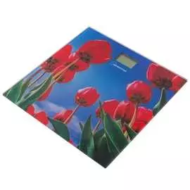 Напольные электронные весы Homestar HS-6001I 005187