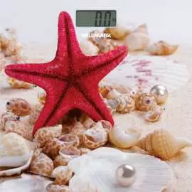 Напольные весы Willmark WBS-1811D 2000357