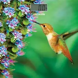 Напольные весы Willmark WBS-1811D 2000355