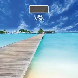 Напольный электронные весы Homestar