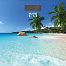 Напольный электронные весы Homestar