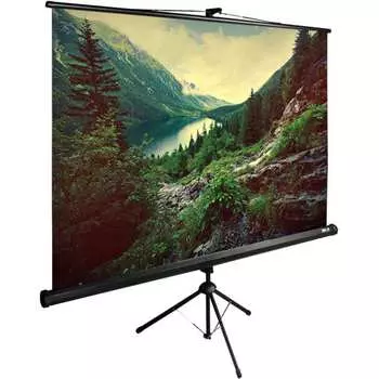 Напольный рулонный экран Cactus TriExpert 1:01 1020784