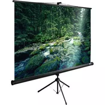 Напольный рулонный экран Cactus TriExpert 4:03 1021153