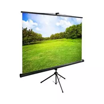 Напольный рулонный экран Cactus TriExpert CS-PSTE-200x150-BK 1021033
