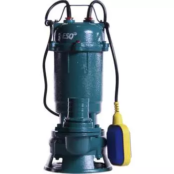 Насос ESQ ГНОМ-М 10-10-50/0.75-220 02.31.216205