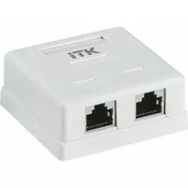Настенная информационная розетка IEK