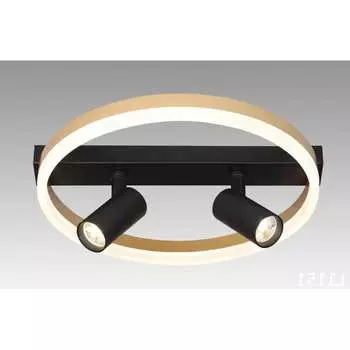 Настенно-потолочный люстра Мелодия Света