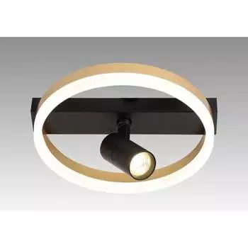 Настенно-потолочный люстра Мелодия Света