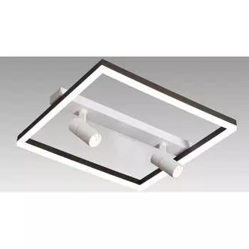 Настенно-потолочный люстра Мелодия Света