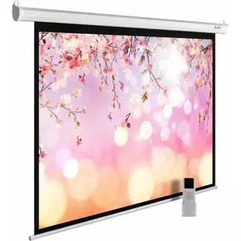 Настенно-потолочный рулонный экран Cactus MotoExpert 1:01 407853