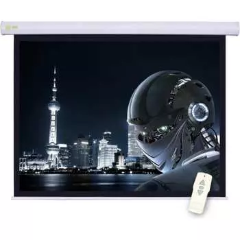 Настенно-потолочный рулонный экран Cactus Motoscreen 16:09 359062