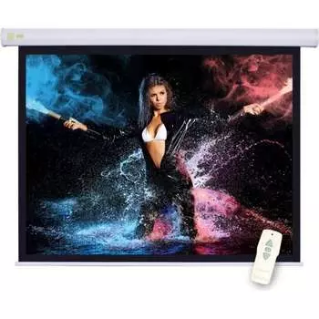 Настенно-потолочный рулонный экран Cactus Motoscreen 16:09 359061