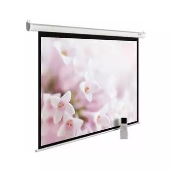 Настенно-потолочный рулонный экран Cactus MotoExpert 1:01 407831