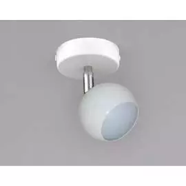 Настенно-потолочный спот РОССВЕТ