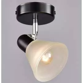 Настенно-потолочный спот РОССВЕТ