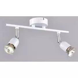 Настенно-потолочный спот РОССВЕТ