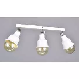 Настенно-потолочный спот РОССВЕТ