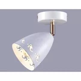 Настенно-потолочный спот РОССВЕТ