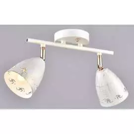 Настенно-потолочный спот РОССВЕТ