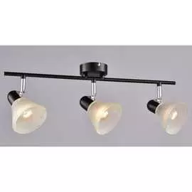 Настенно-потолочный спот РОССВЕТ