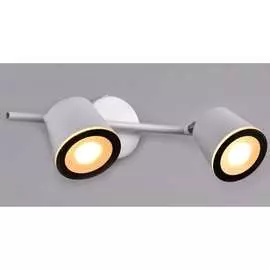 Настенно-потолочный спот РОССВЕТ