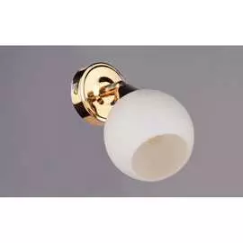 Настенно-потолочный спот РОССВЕТ