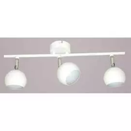 Настенно-потолочный спот РОССВЕТ