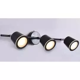 Настенно-потолочный спот РОССВЕТ