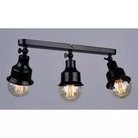 Настенно-потолочный спот РОССВЕТ