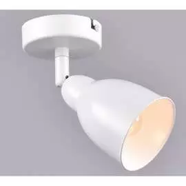 Настенно-потолочный спот РОССВЕТ