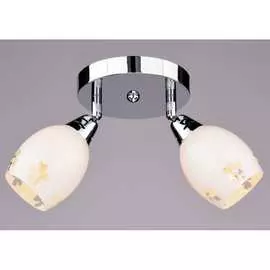 Настенно-потолочный спот РОССВЕТ