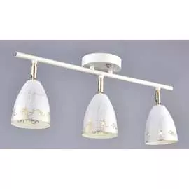 Настенно-потолочный спот РОССВЕТ