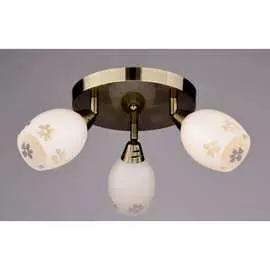 Настенно-потолочный спот РОССВЕТ