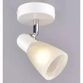 Настенно-потолочный спот РОССВЕТ