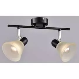 Настенно-потолочный спот РОССВЕТ