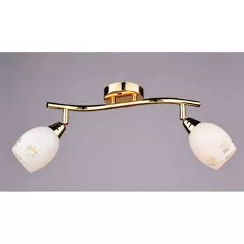 Настенно-потолочный спот РОССВЕТ