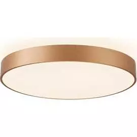 Настенно-потолочный светильник Aployt