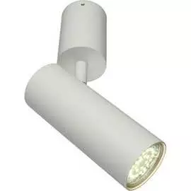 Настенно-потолочный светильник Aployt